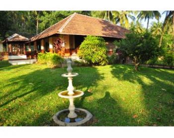 65 Cent Residential Land for Sale at Palakkad Budget - 250000 Cent