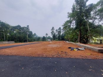12 Cent Residential Land for Sale at Palakkad. Budget - 300000 Cent