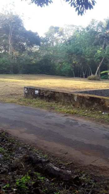 30 cent Cent Residential Land for Sale at Koothattukulam Budget - 200000 Cent