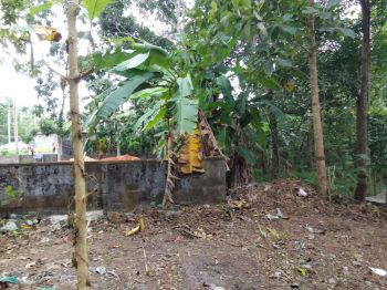 60 Cent Residential Land for Sale at Trivandrum Budget - 1000000 Cent